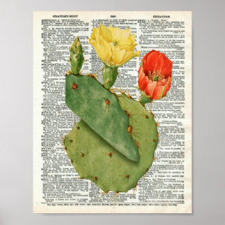 Vintage Kakteen Botanical Art auf Wörterbuchseite  Poster