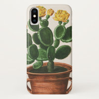 Vintage Kaktus-Blume, sukkulente Kakteen-Pflanze