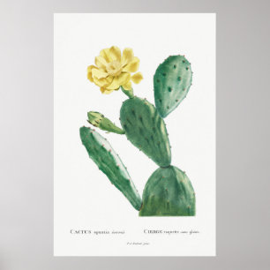 Vintage Kaktus-Illustration Poster