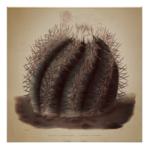 Vintage-Kaktus-Kunstwerk