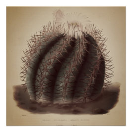 Vintage-Kaktus-Kunstwerk Poster