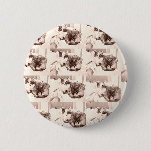 Vintage Kalico-Katze/Schwarz-Weiß-Fotografie Button