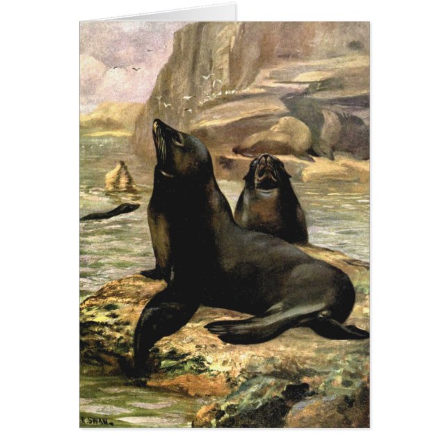 Vintage kalifornische Seelöwen von CE Swan (Vorne)