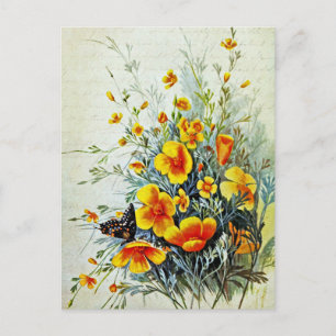 Vintage Kalifornischer Mohn Wildblumen Postkarte