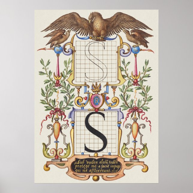 Vintage Kalligrafie Poster (Vorne)