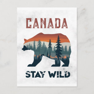 Vintage Kanada Bär Bleib Wild Reisepostkarte Postkarte