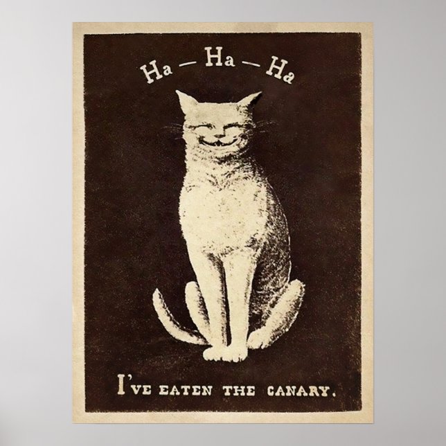 Vintage Kanarienkatze Poster (Vorne)