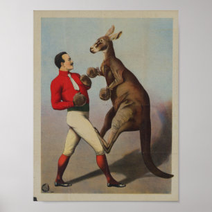 Vintage Kangaroo Boxen Poster