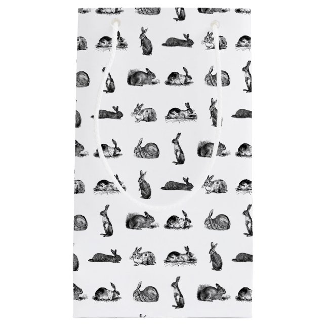 Vintage Kaninchen Bunnies Art CUSTOM HINTERGRUNDFA Kleine Geschenktüte (Vorderseite)