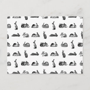 Vintage Kaninchen Classic Bunnies CUSTOM BG FARBE Postkarte