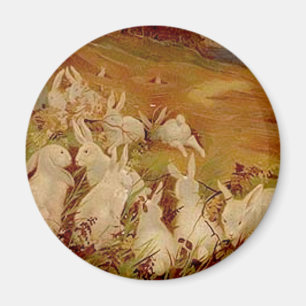 Vintage Kaninchen Magnet