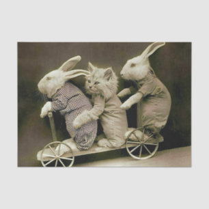 Vintage Kaninchen und Katzen auf Spielzeugmotorrad Seidenpapier