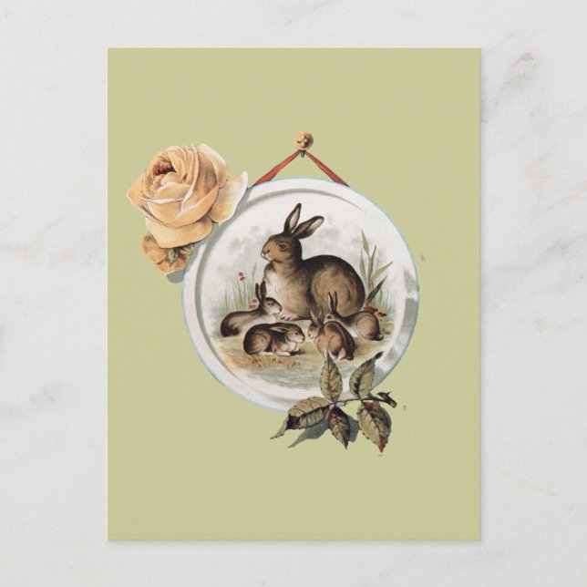 Vintage Kaninchenfamilie Postkarte (Vorderseite)