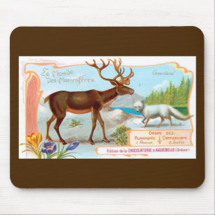 Vintage Karibik (Rentier) und Arktis Fox Mousepad