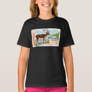 Vintage Karibik (Rentier) und Arktis Fox T-Shirt