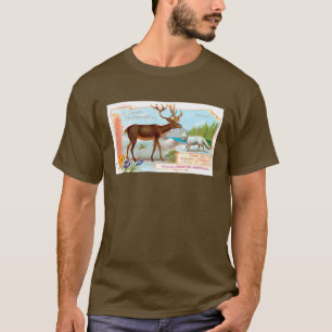 Vintage Karibik (Rentier) und Arktis Fox T-Shirt
