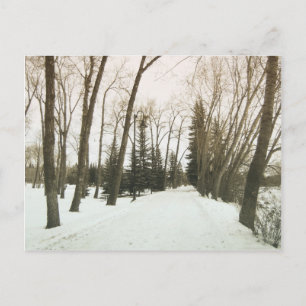 Vintage-Karte - Bäume im Winter Postkarte