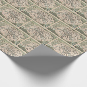 Vintage Karte der antiken Stadt Paris Geschenkpapier