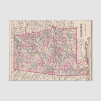Vintage-Karte der Countys Alabamas (1876) Seidenpapier