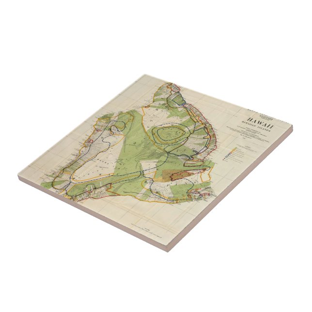 Vintage Karte der Insel Hawaii (1906) Fliese (Seite)