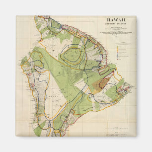 Vintage Karte der Insel Hawaii (1906) Magnet