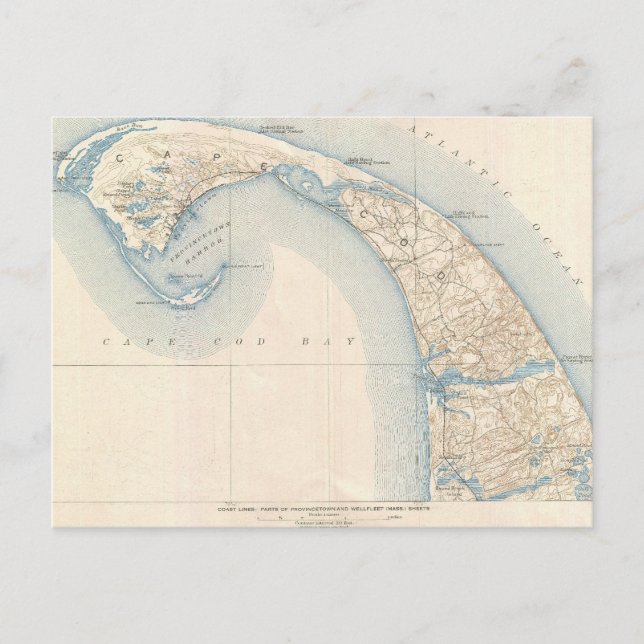 Vintage Karte des Kabeljaubestands am unteren Kap (Vorderseite)