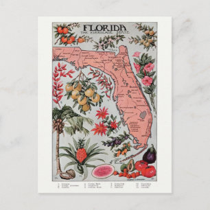 Vintage Karte Florida