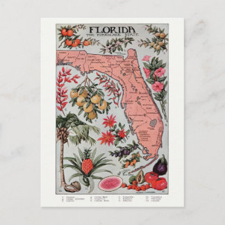Vintage Karte Florida