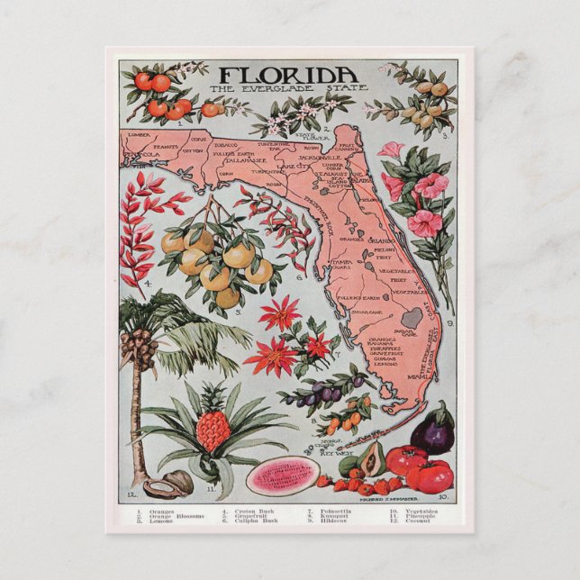 Vintage Karte Florida, die Everglade Staat Travel (Vorderseite)