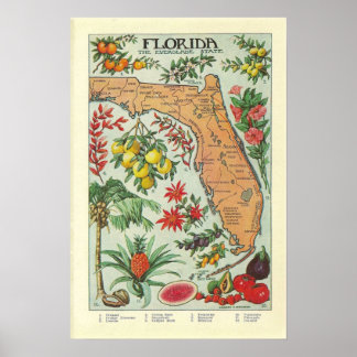 Vintage Karte Florida - Flora Poster