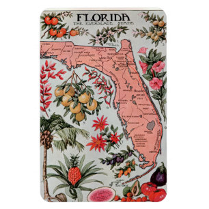 Vintage Karte Florida Magnet