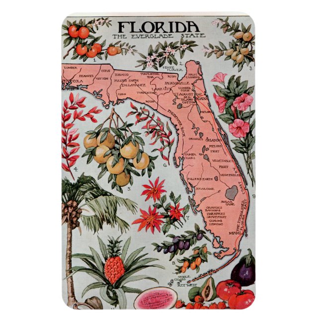 Vintage Karte Florida Magnet (Vertikal)