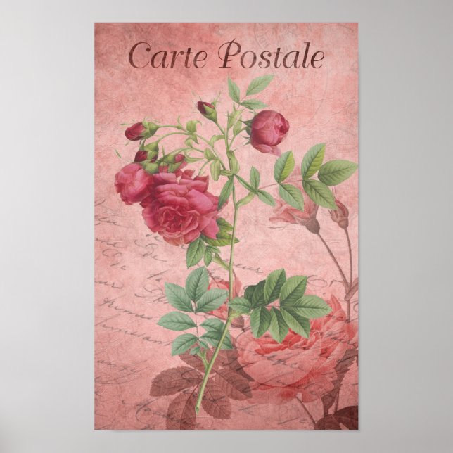 Vintage Karte Postale Deep & Pale Roses Poster (Vorne)