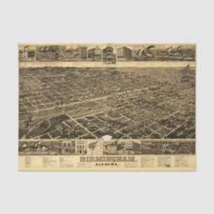 Vintage Karte von Birmingham, Alabama (1885) Seidenpapier