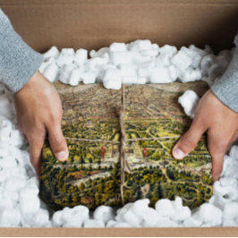 Vintage Karte von Central Park, New York, 1873 Seidenpapier