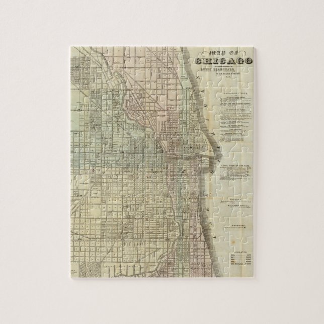Vintage Karte von Chicago (1857) Puzzle (Vertikal)