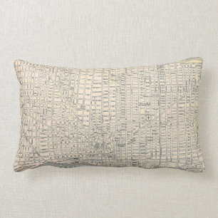 Vintage Karte von Detroit (1895) Lendenkissen