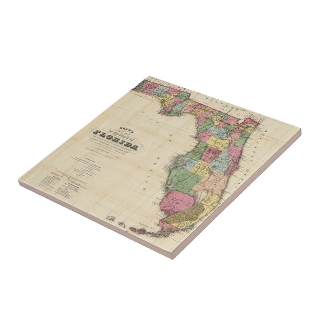 Vintage Karte von Florida (1870) Fliese (Seite)