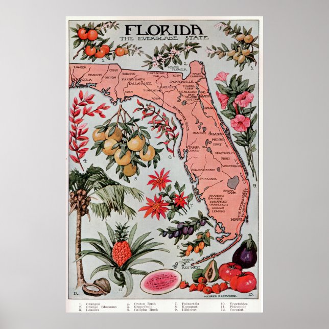 Vintage Karte von Florida (1917) Poster (Vorne)