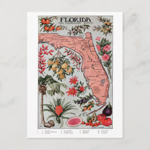 Vintage-Karte von Florida Postkarte