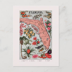 Vintage-Karte von Florida Postkarte