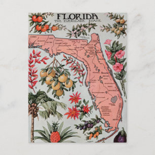 Vintage-Karte von Florida Postkarte