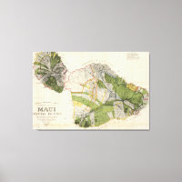 Vintage Karte von Maui Island (1906)