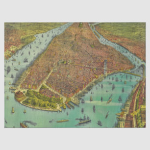 Vintage-Karte von New York City 1889 ohne Rahmen Seidenpapier