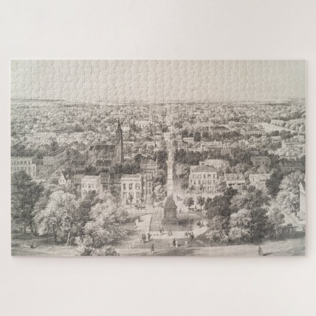 Vintage Karte von Savannah Georgia (1856) Puzzle (Horizontal)