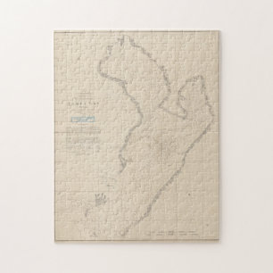 Vintage Karte von Tampa Bay FL (1855) Puzzle