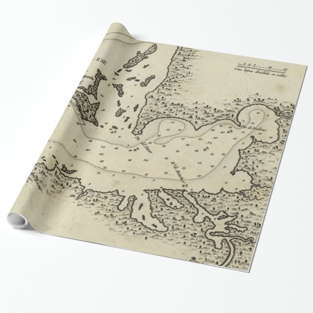 Vintage Karte von Tampa Florida (1809) Geschenkpapier (Ungerollt)