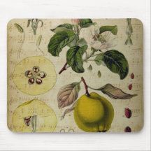 Vintage Kartenmodefläche