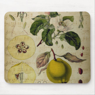 Vintage Kartenmodefläche Mousepad