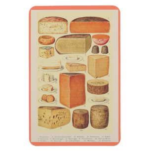 Vintage-Käse-Diagramm-Illustration Käse-Menü Magnet